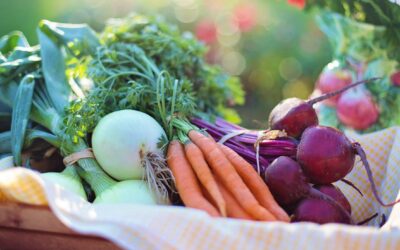 GUÍA RÁPIDA PARA PLANIFICAR COMIDAS